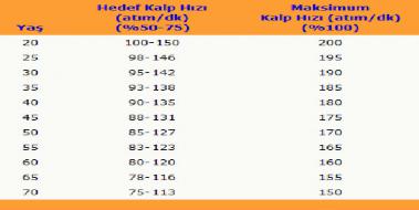 yeni dünya bitkisel sağlık kardiyo kalp sağlığı