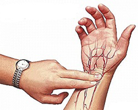 Nabız Çeşitleri Nelerdir?