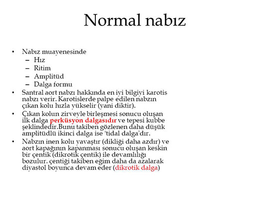 Normal Nabız